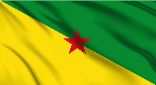 Guyana National Flag Wall Art - beink online art store