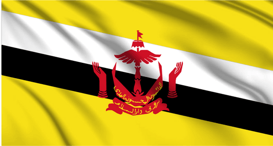 Brunei National Flag Wall Art - beink online art store