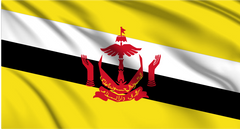 Brunei National Flag Wall Art