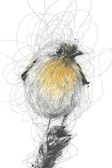 Black Pen and Ink Bird Illustration Wall Art - beink online art store