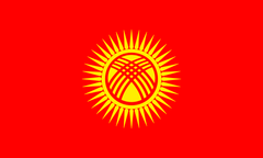 Kyrgyzstan National Flag Wall Art