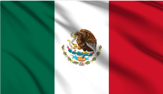 Mexico National Flag Wall Art - beink online art store