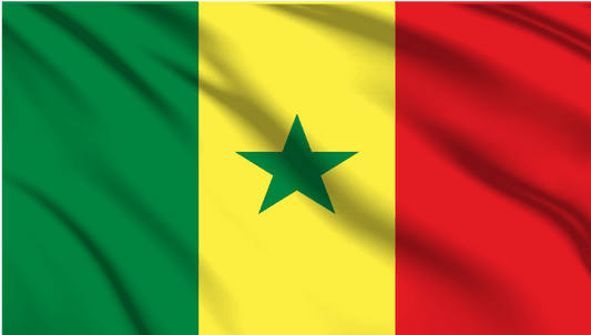 Senegal National Flag Wall Art - beink online art store