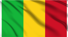 Mali National Flag Wall Art