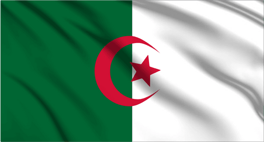 Algeria National Flag Wall Art - beink online art store