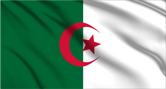 Algeria National Flag Wall Art - beink online art store