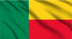 Benin National Flag Wall Art