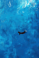 Diving Painting Wall Art