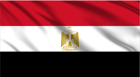 Egypt National Flag Wall Art - beink online art store