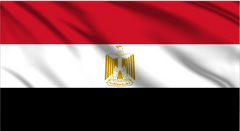 Egypt National Flag Wall Art