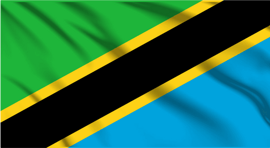 Tanzania National Flag Wall Art - beink online art store