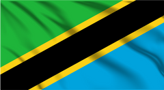 Tanzania National Flag Wall Art - beink online art store