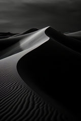 Desert Night Black & White Wall Art