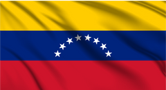 Venezuela National Flag Wall Art