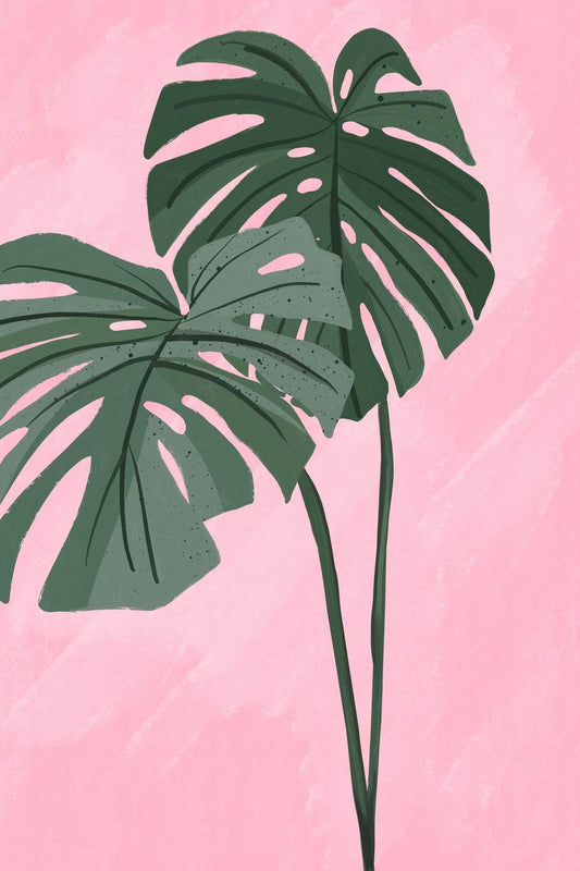 Monstera Deliciosa Plant Drawing Wall Art - beink online art store