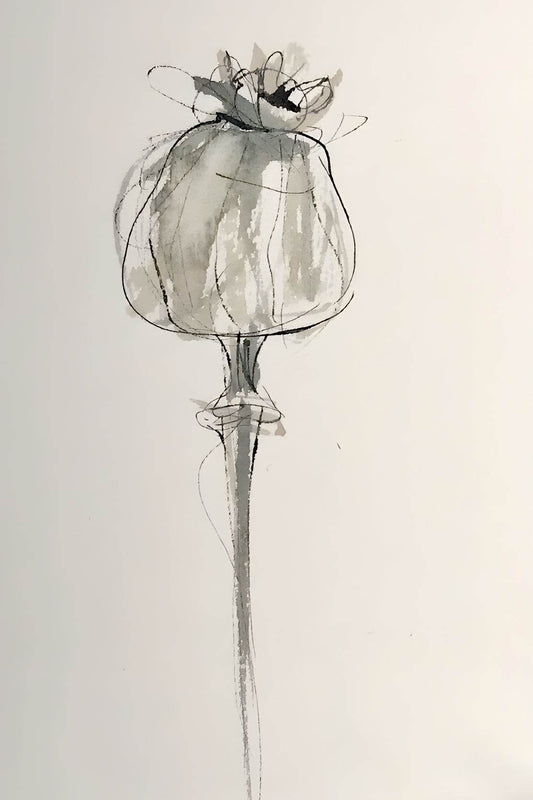 Watercolor Poppy Seed Head Modern Wall Art - beink online art store