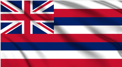 Hawaii National Flag Wall Art