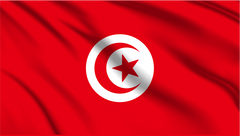 Tunisia National Flag Wall Art