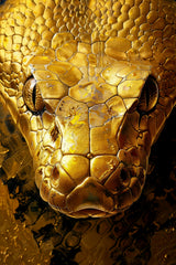 Golden Anaconda Snake Wall Art