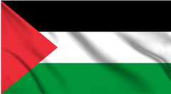 Palestine National Flag Wall Art