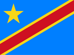 Democratic Republic of the Congo National Flag Wall Art