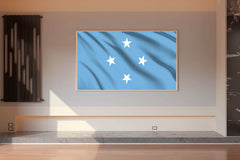 Federated States of Micronesia National Flag Wall Art - beink online art store