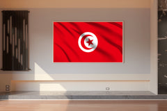 Tunisia National Flag Wall Art