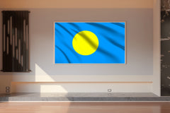 Palau National Flag Wall Art