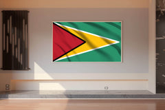 Guyana National Flag Wall Art - beink online art store