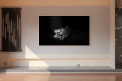 Asiatic Lion Black & White Wall Art