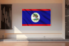 Belize National Flag Wall Art - beink online art store