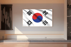 South Korea National Flag Wall Art