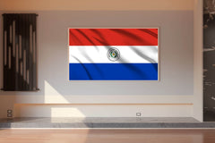 Paraguay National Flag Wall Art - beink online art store