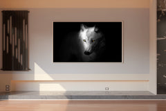 Arctic Wolf Black & White Wall Art