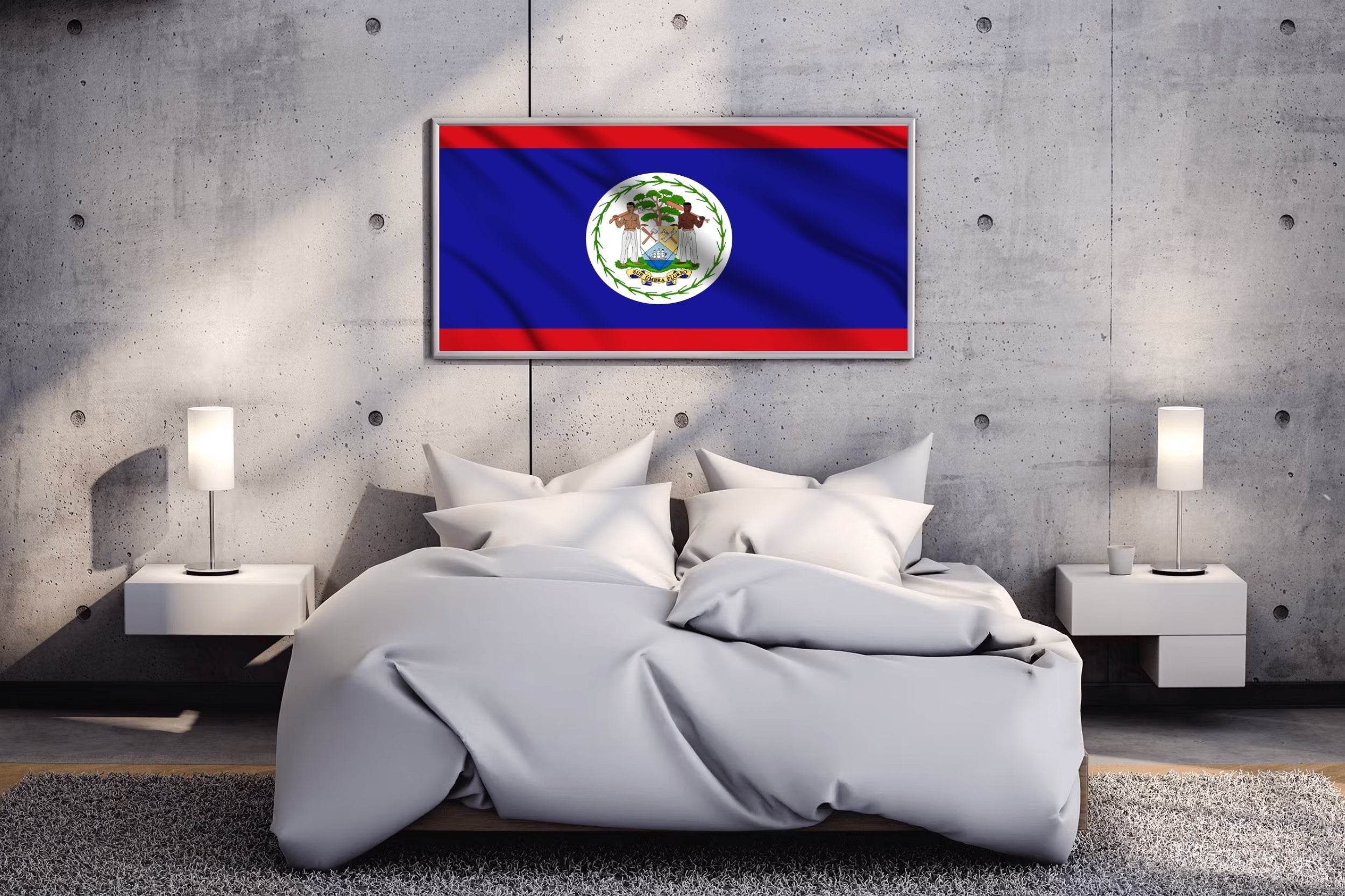 Belize National Flag Wall Art - beink online art store