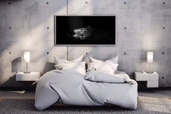 Asiatic Lion Black & White Wall Art