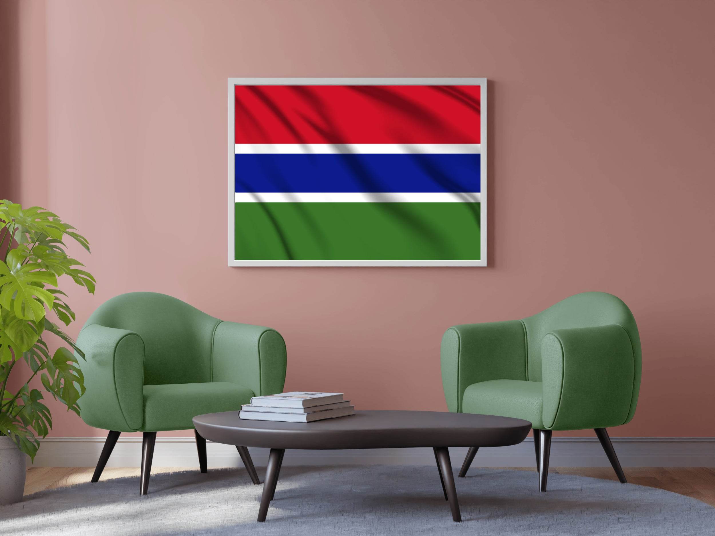 The Gambia National Flag Wall Art - beink online art store