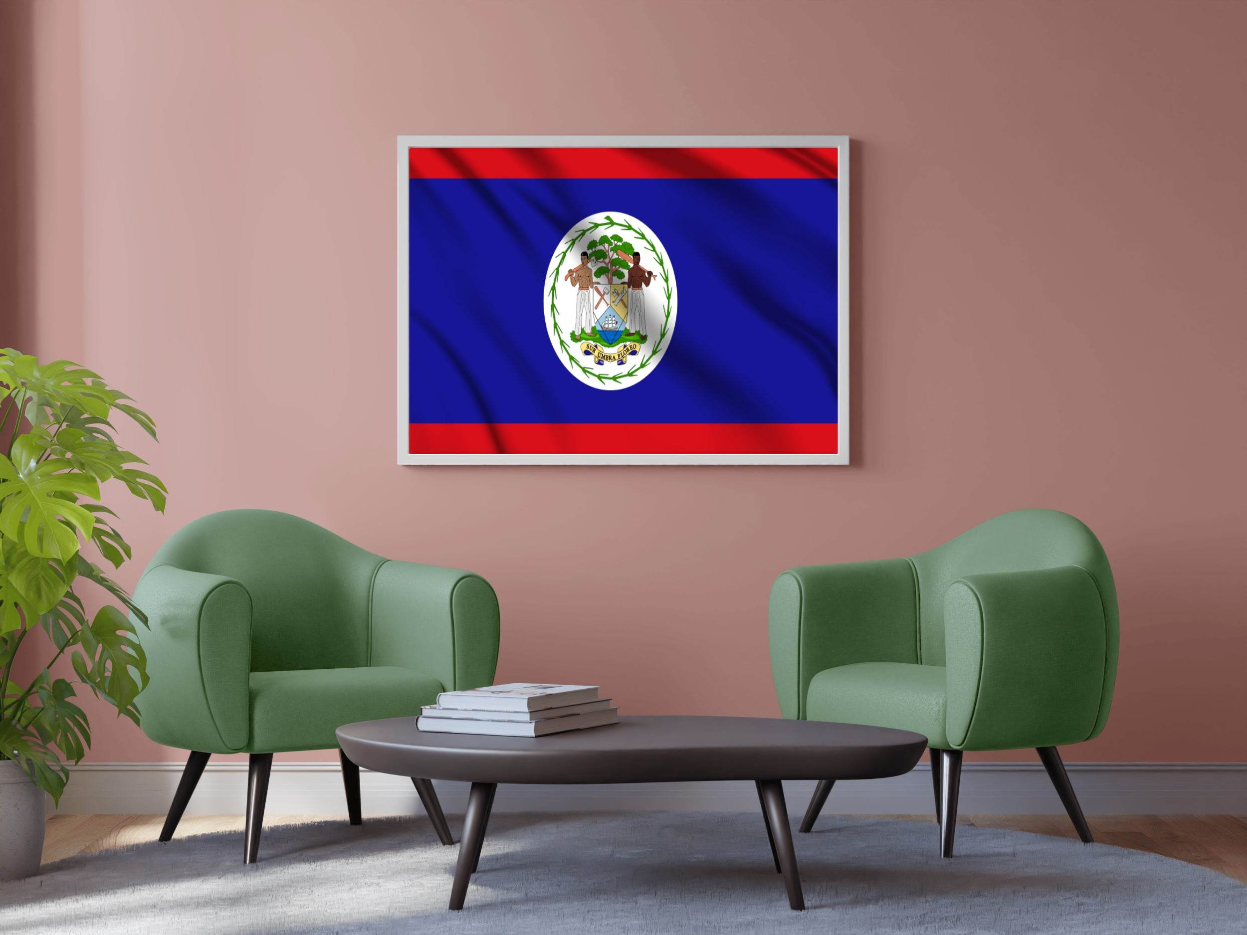 Belize National Flag Wall Art - beink online art store