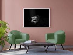 Asiatic Lion Black & White Wall Art