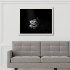 Asiatic Lion Black & White Wall Art