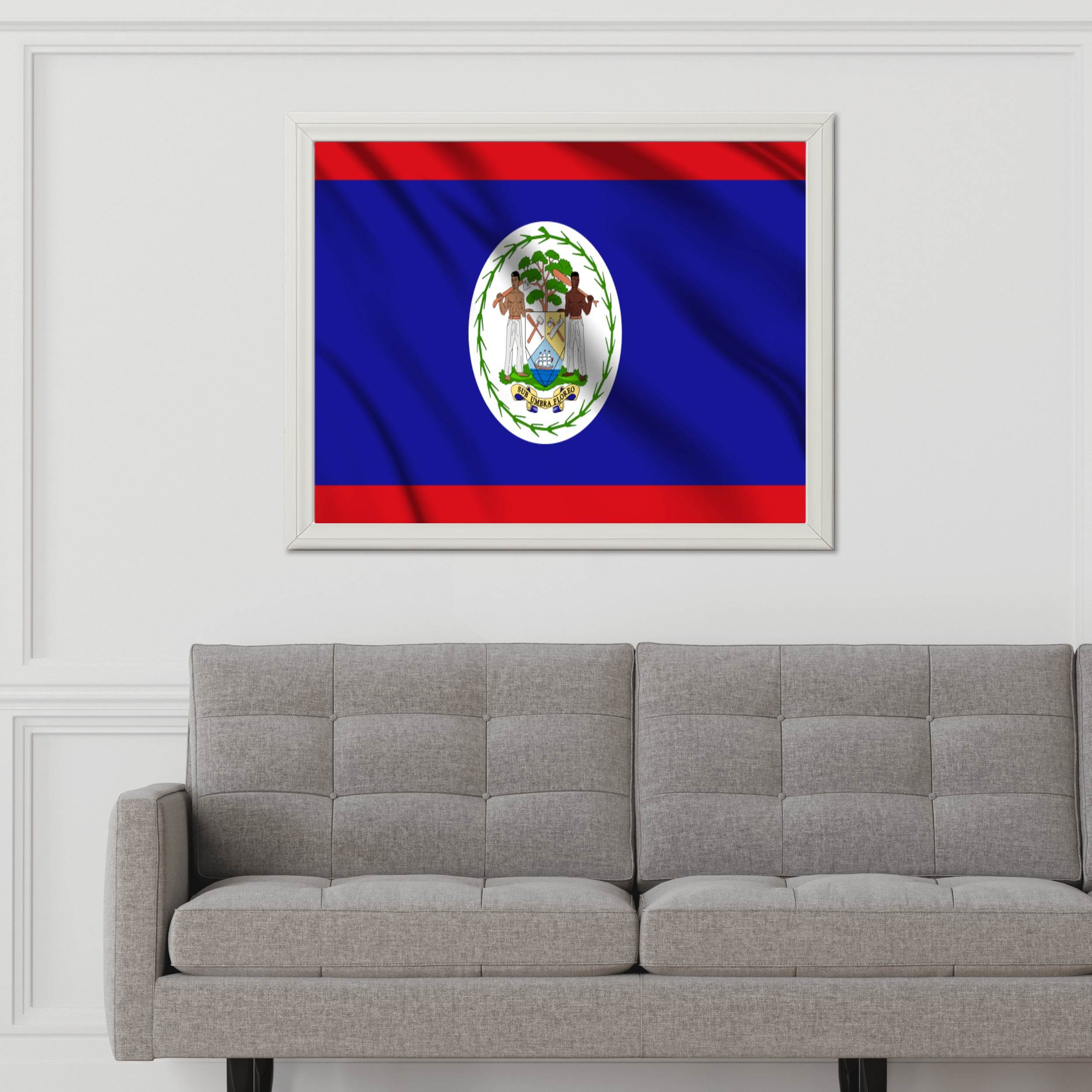 Belize National Flag Wall Art - beink online art store