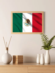 Mexico National Flag Wall Art