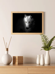 Arctic Wolf Black & White Wall Art