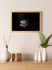 Asiatic Lion Black & White Wall Art