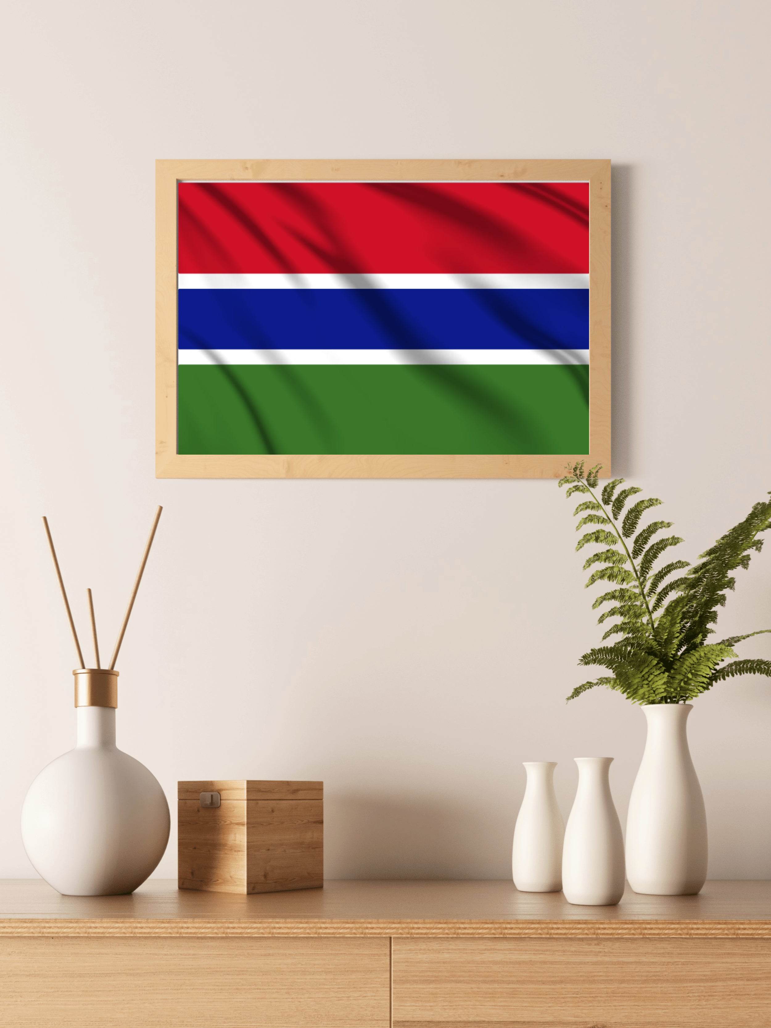 The Gambia National Flag Wall Art - beink online art store