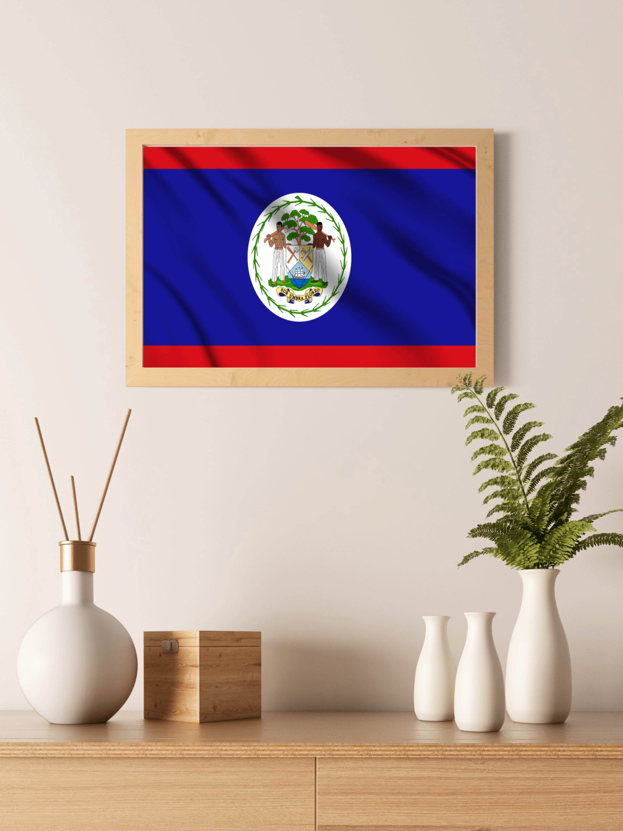 Belize National Flag Wall Art - beink online art store