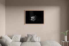 Asiatic Lion Black & White Wall Art