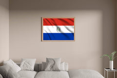 Paraguay National Flag Wall Art - beink online art store