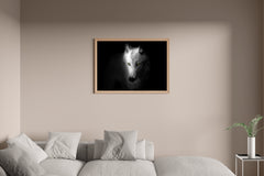 Arctic Wolf Black & White Wall Art