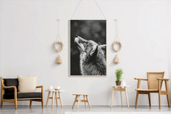 Coyote Black & White Wall Art